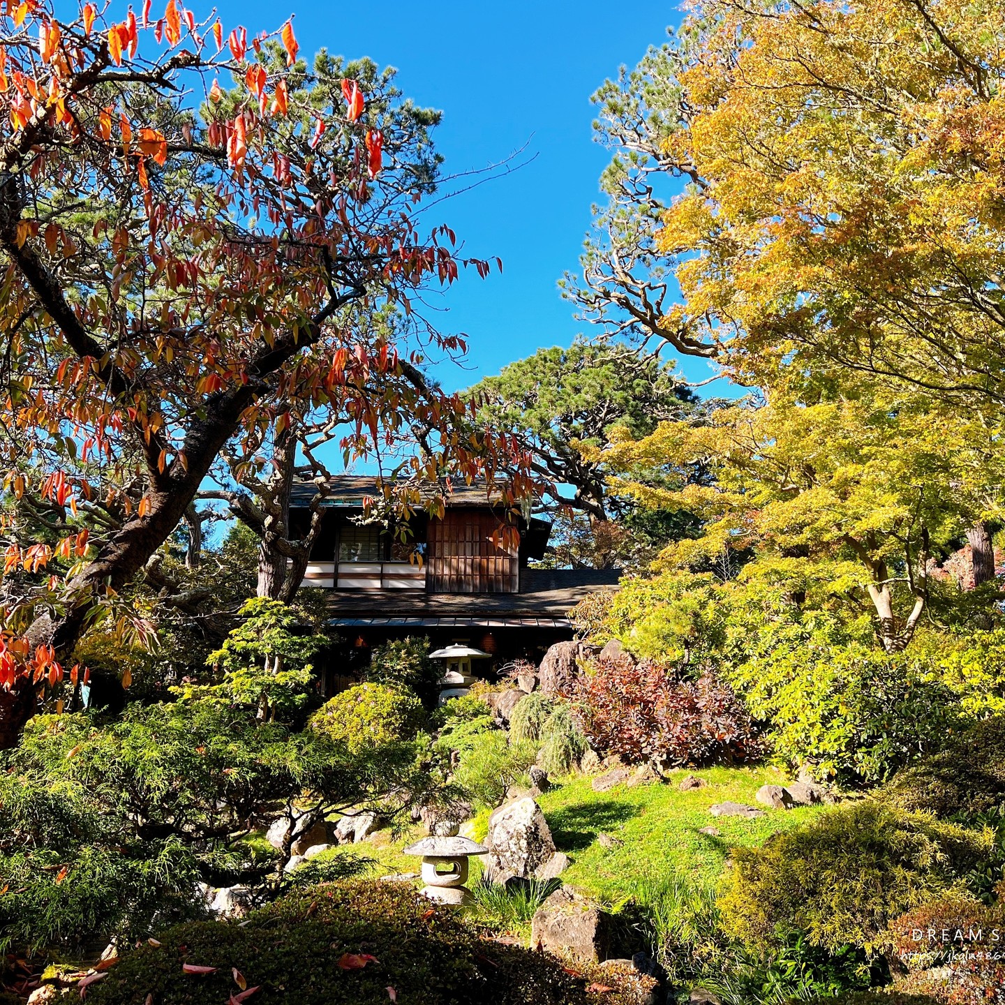 美國-San Francisco】金門公園中的東方秘境│舊金山日本茶園│Japanese