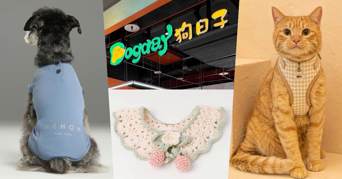毛孩爸媽買到破產！4間高分好評「寵物配件店家」特搜！胸背帶、雨衣，還有涼感衣夏天超需要！