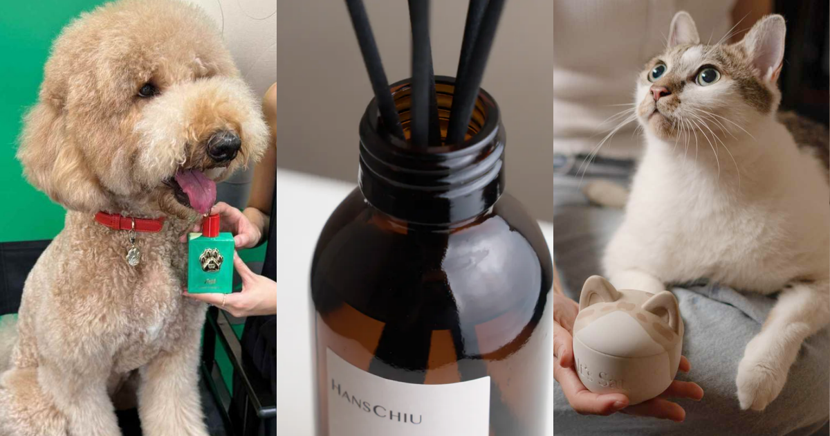 毛孩聞到香水會中毒？主人必知「貓狗香氛禁忌」常見有害成分公開、柑橘類香調是大忌，加碼寵物友善香氛推薦！