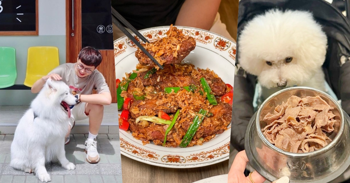 2025全台4間寵物友善餐廳推薦！「好運站」帶毛孩過生日還送蛋糕、台中這間燒肉店狗狗還有免費肉吃！