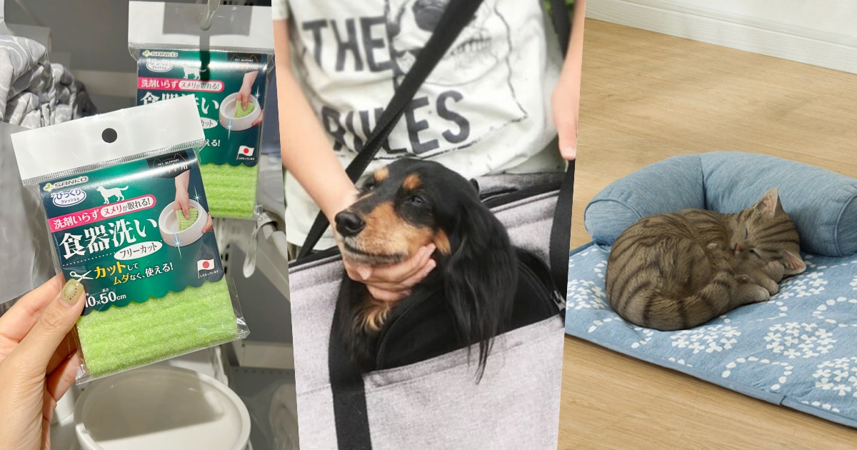 毛孩爸媽準備掃貨！2025宜得利必買6大寵物用品推薦、「這款」超平價涼感睡墊脆友都推爆！