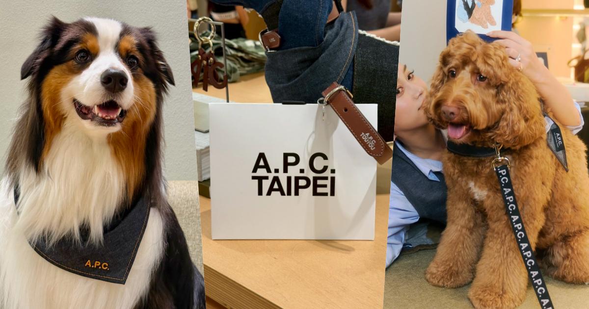 快帶毛孩去交朋友！A.P.C.將在信義舉辦限定寵物日！「免費冰淇淋、專屬插畫」只有當天有！