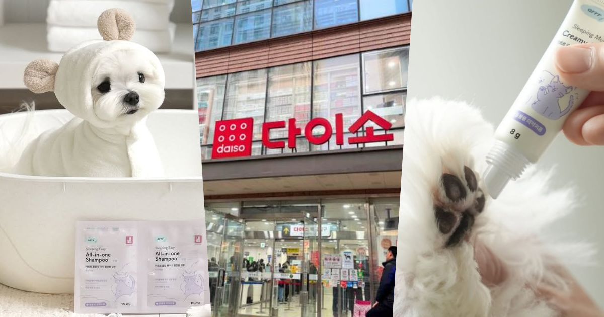 寵物爸媽必收！韓國大創寵物保養品全新上架，從肉墊保濕到旅行洗澡全套好物推薦、貓貓狗狗都適用！