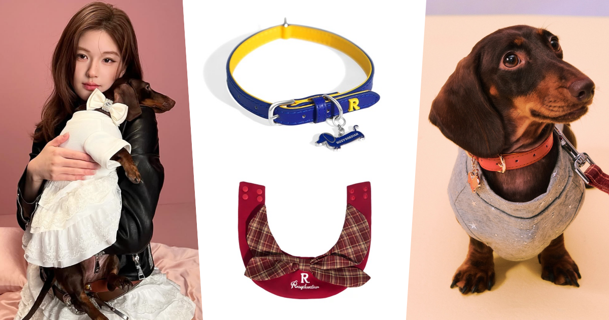 《許我耀眼》趙露思創個人品牌啦！ROSY DOEDIAN火速爆紅！愛犬還親自當模特？！