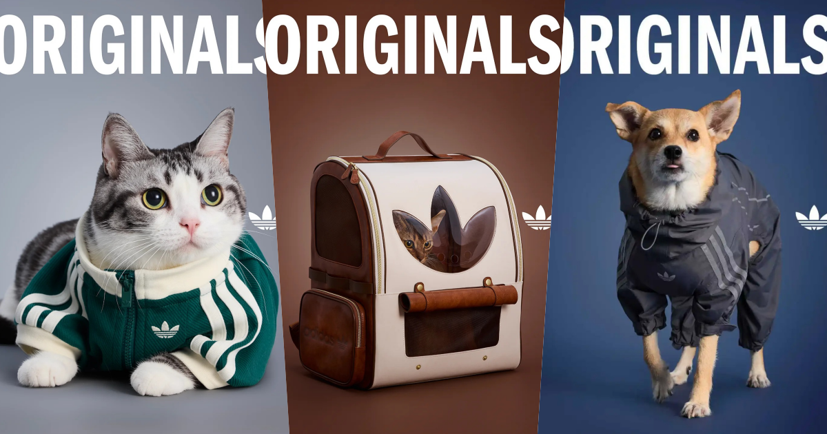 愛迪達真的很會！adidas寵物系列再推「秋冬新款」啦！毛孩版運動外套、背心可愛到爆！