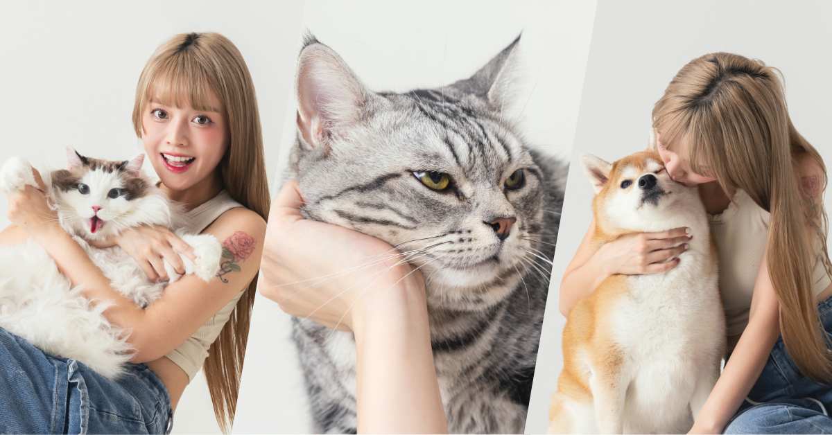 從浪LIVE直播到球場，「樂天音樂才女」黃禹菡和三隻小室友的甜蜜大直擊！