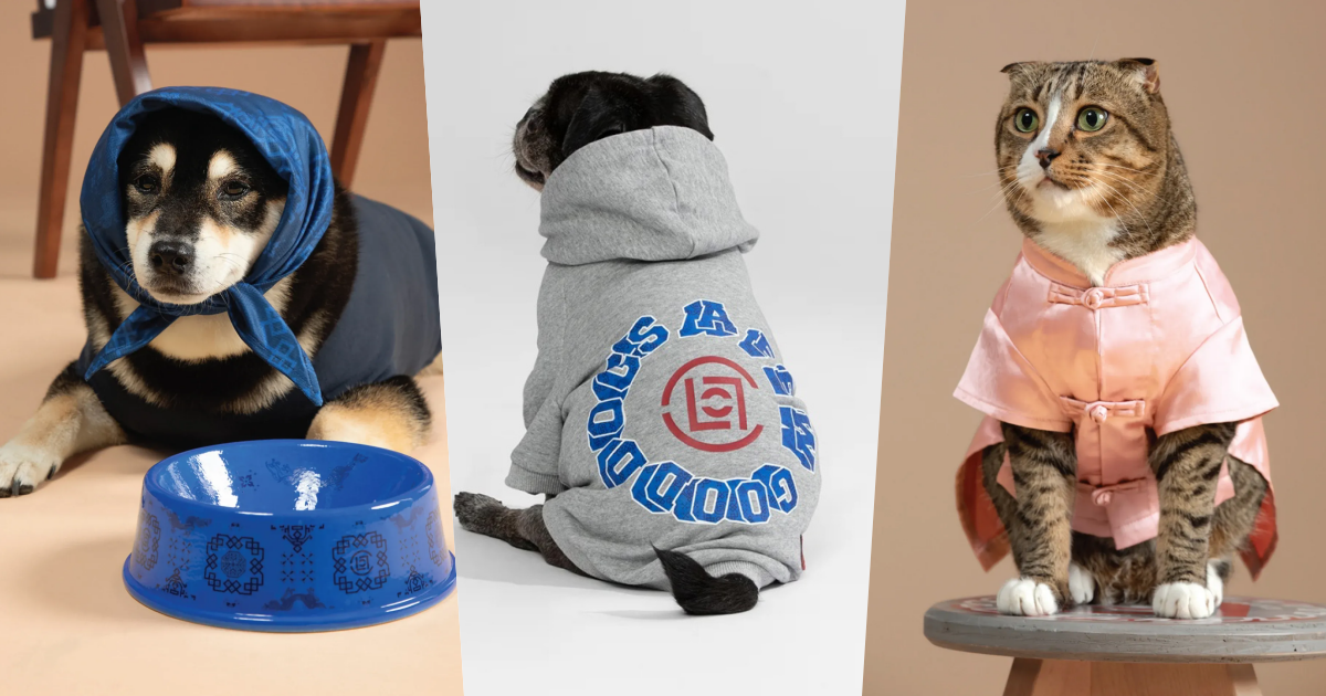 CLOT進軍毛孩時尚！全新「寵物系列」初登場！絲綢T恤、頭巾全都有，寶貝一秒變潮寵！