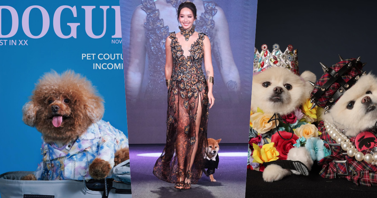 萌度炸裂！臺北萌寵時裝週登場！薔薔豹紋性感亮相、多隻浪浪變身T台小模...可愛爆棚！