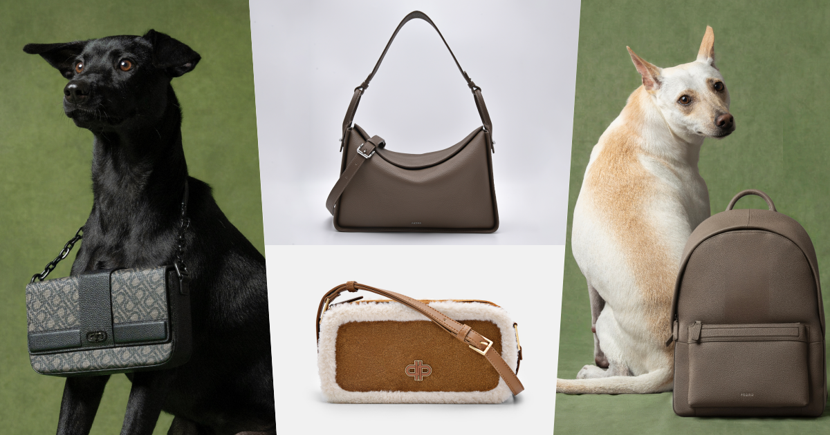 買包也能散播愛心！PEDRO再度邀浪浪拍廣告！毛寶貝揹Demi通勤包太可愛、今年第一咖就選它！