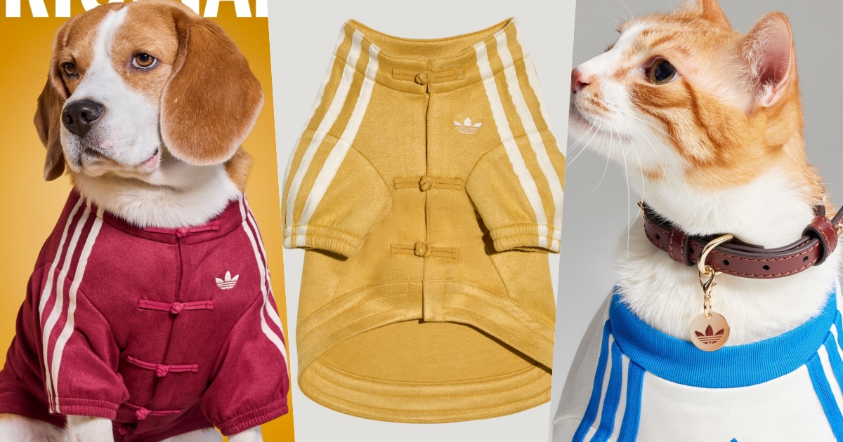 台灣終於買得到了！adidas新年寵物系列來了！竟然有「新中式外套」毛寶貝拜年戰服就它了！