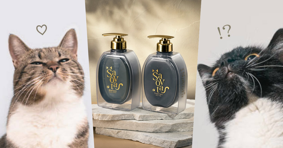 貓奴直接失控！日本爆紅「貓大麻洗髮精」登場，貓草×木天蓼香氣太犯規，貓大爺再也不傲嬌、只想整天黏著你！