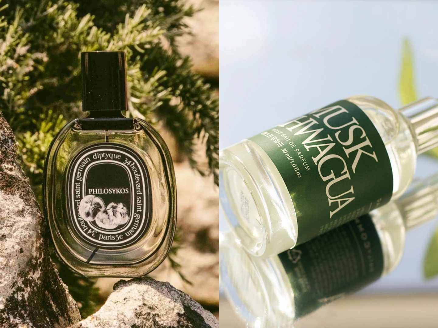 韓國爆紅香水平替推薦！BYREDO鬱金香、Diptyque奶感麝香、Jo Malone
